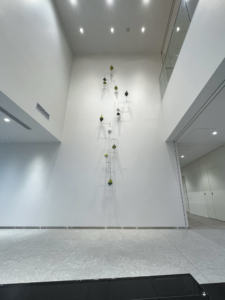 IMG 8160 のコピー